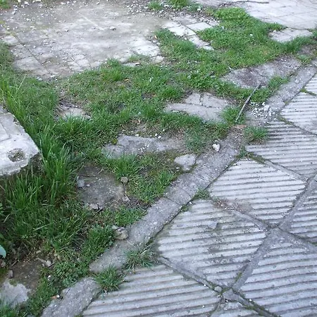 Daneto